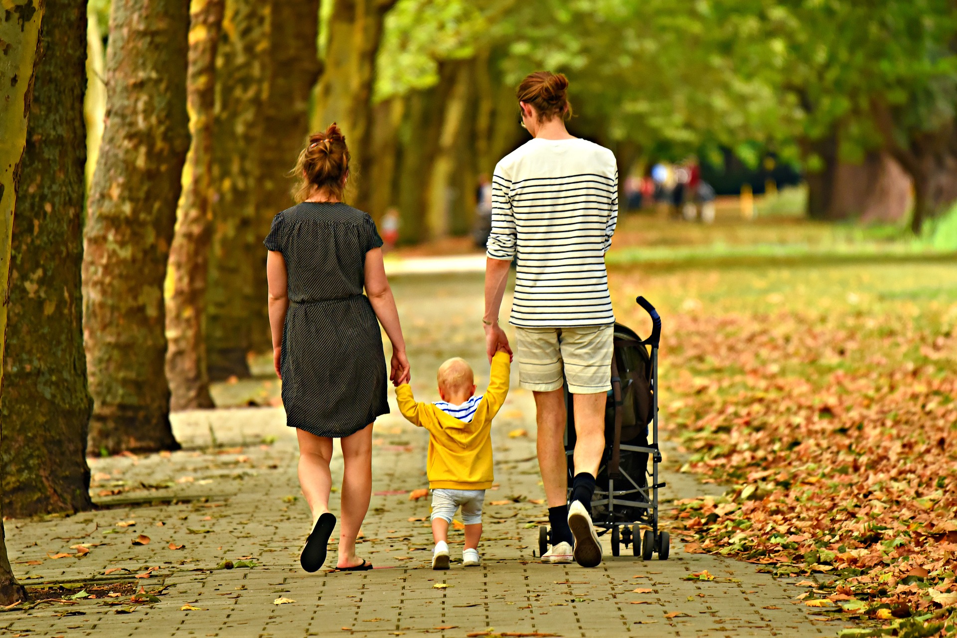 Three Questions to Ask Before Hiring a Family Lawyer Three Questions to Ask Before Hiring a Family Lawyer